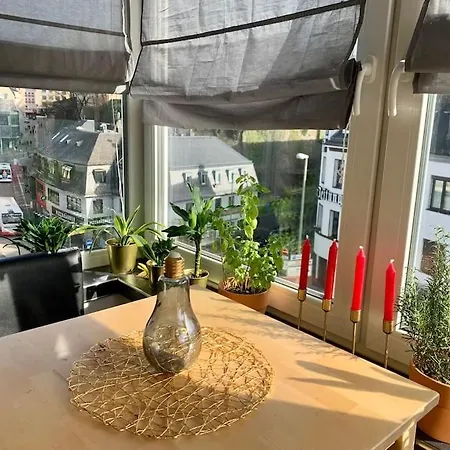Apartman Zentrale Maisonette Mit Dachterrasse & Netflix Siegen