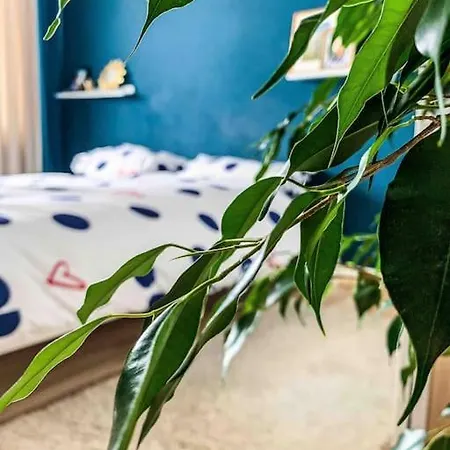 Zentrale Maisonette Mit Dachterrasse & Netflix Apartman Siegen